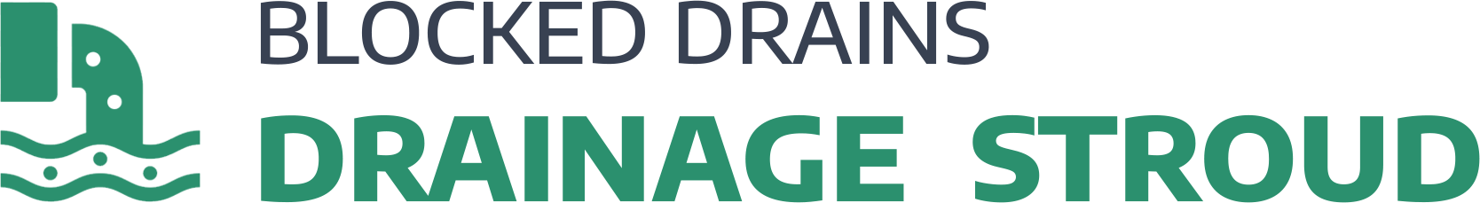 website logo